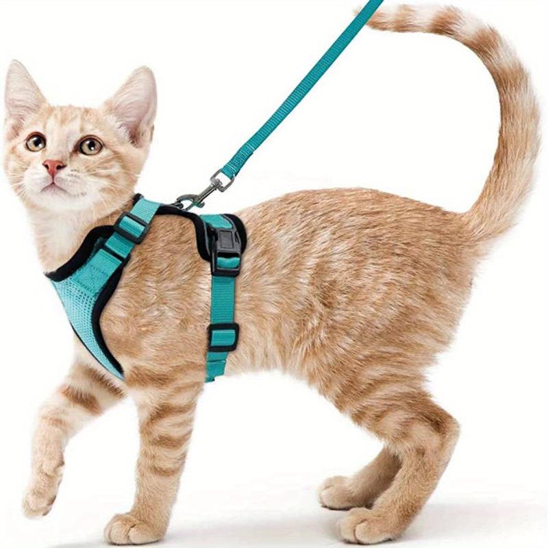 Escape Proof Cat Harness & Leash for Walking & Exploring