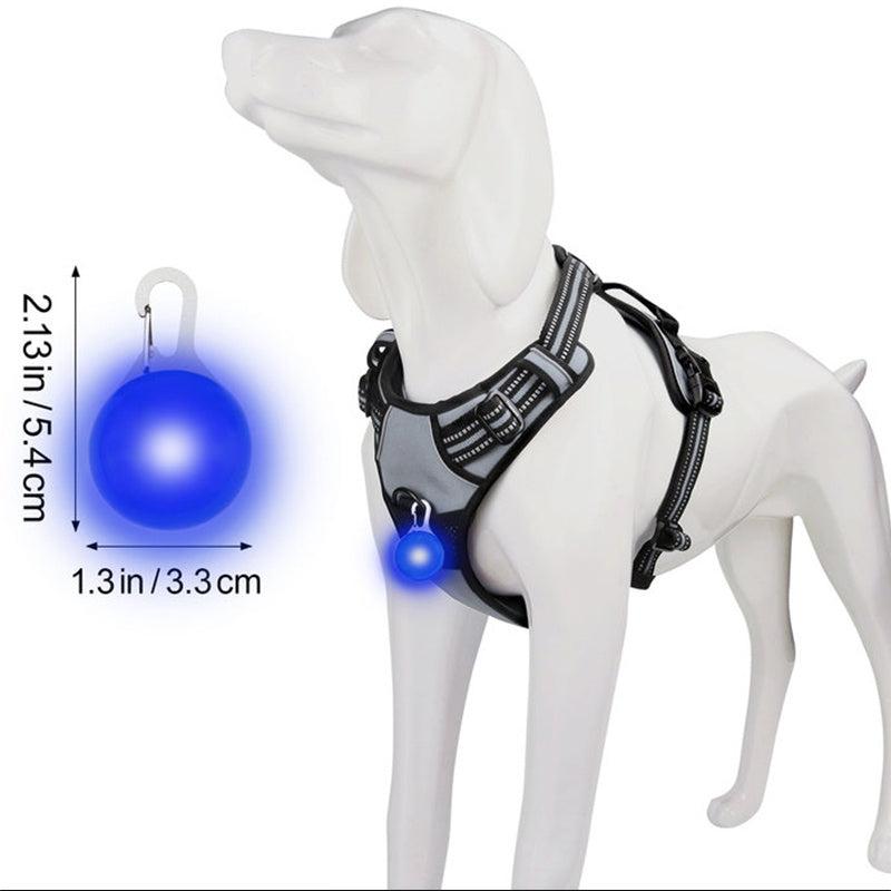 Joytale LED Dog Collar Safety Light Clip Tag Night Visibility