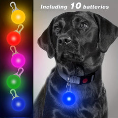 Joytale LED Dog Collar Safety Light Clip Tag Night Visibility