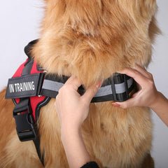 Comfortable Reflective Dog Harness Adjustable Pet Vest for Safety