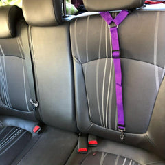 Adjustable Pet Car Seat Belt with Leash & Safety Harness