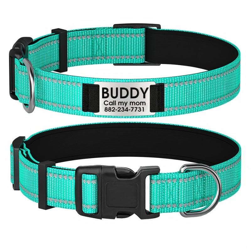 Personalized Dog Collar with Name Plate and Padded Nylon