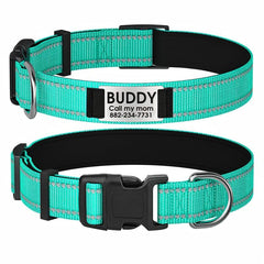 Personalized Dog Collar with Name Plate and Padded Nylon