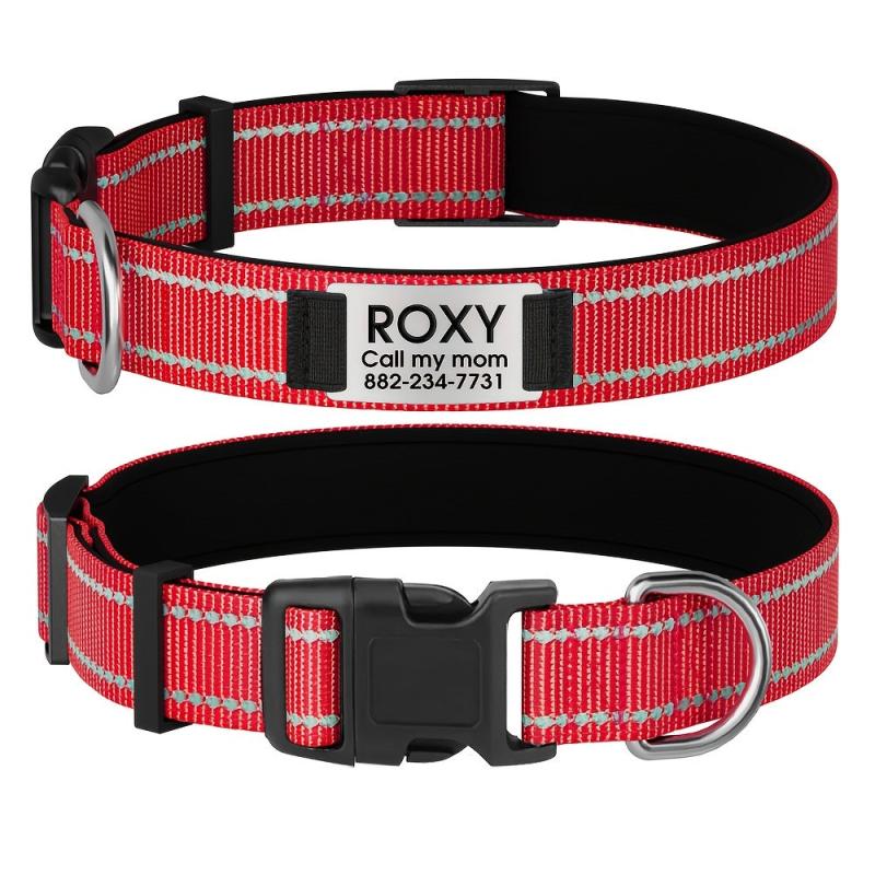 Personalized Dog Collar with Name Plate and Padded Nylon