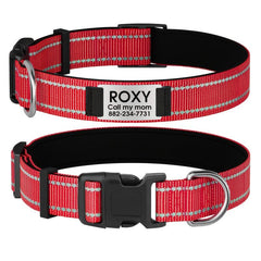 Personalized Dog Collar with Name Plate and Padded Nylon