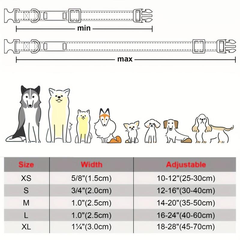 Personalized Dog Collar with Name Plate and Padded Nylon