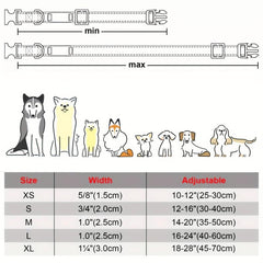 Personalized Dog Collar with Name Plate and Padded Nylon