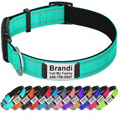 Personalized Dog Collar with Name Plate and Padded Nylon