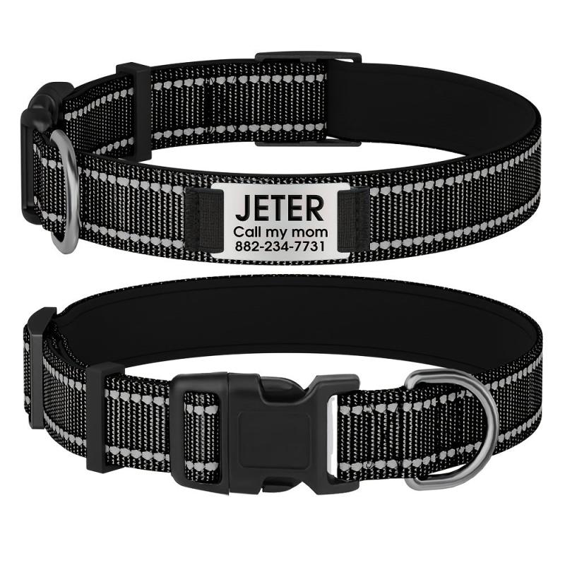 Personalized Dog Collar with Name Plate and Padded Nylon