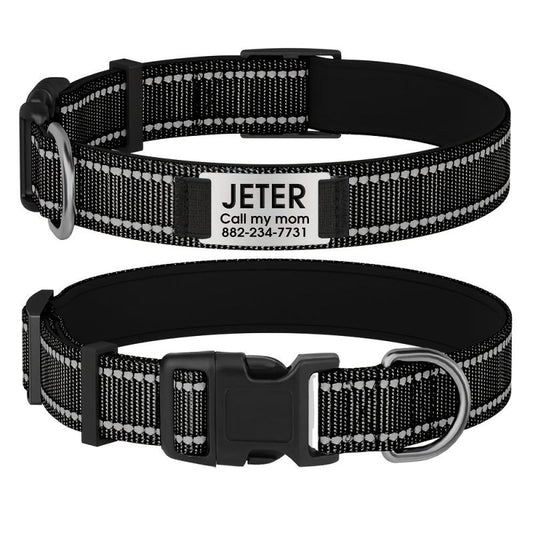 Personalized Dog Collar with Name Plate and Padded Nylon