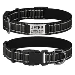 Personalized Dog Collar with Name Plate and Padded Nylon