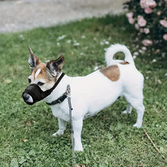 Breathable Nylon Dog Muzzle Anti Bite Pet Mouth Cover