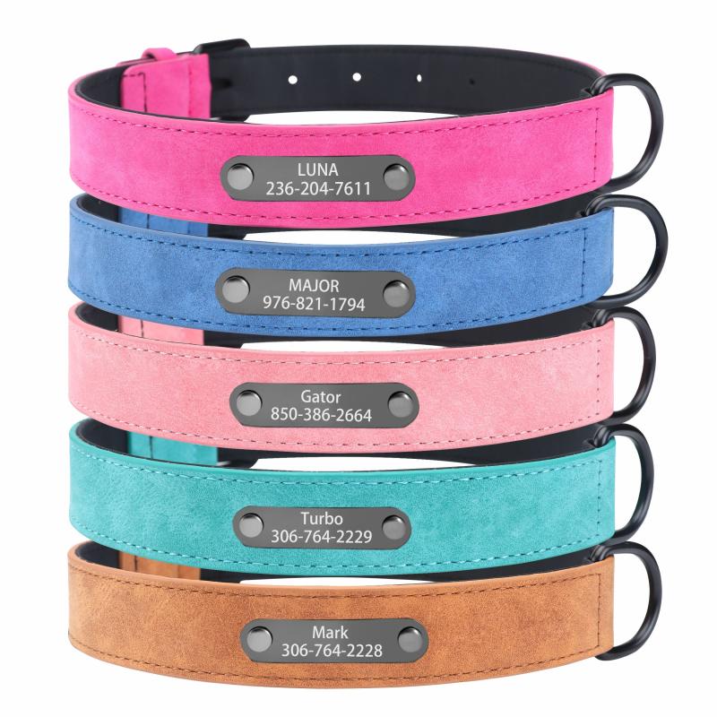 Personalized Leather Dog Collar Engraved Nameplate Small Medium Large
