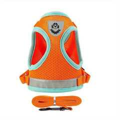 Dog Harness & Leash Set for Small & Medium Dogs