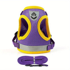 Dog Harness & Leash Set for Small & Medium Dogs