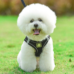 Reflective Pet Harness and Leash Set for Dogs and Cats - Breathable Mesh
