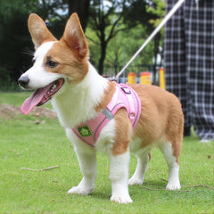 Reflective Pet Harness and Leash Set for Dogs and Cats - Breathable Mesh