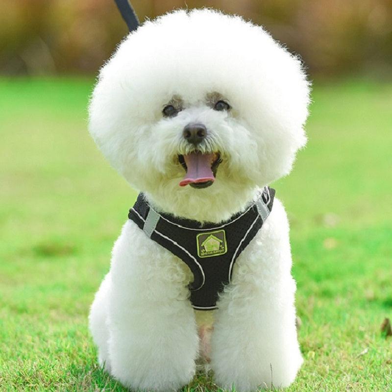 Reflective Pet Harness and Leash Set for Dogs and Cats - Breathable Mesh