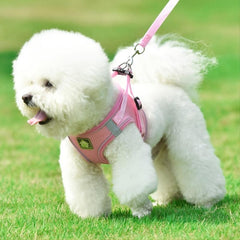 Reflective Pet Harness and Leash Set for Dogs and Cats - Breathable Mesh
