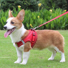 Reflective Pet Harness and Leash Set for Dogs and Cats - Breathable Mesh