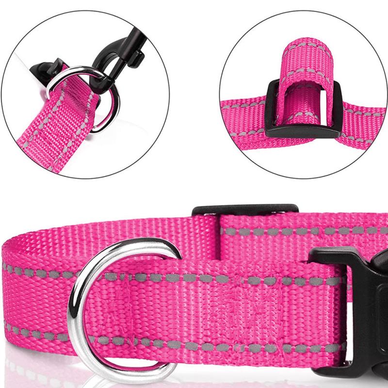 Reflective Nylon Dog Collar With Quick Release Buckle