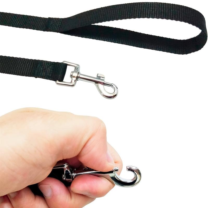 Durable Nylon Dog Leash for Walking and Training