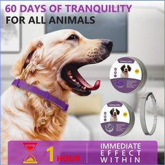 Effective Safe Calming Collar For Cats Dogs Adjustable Dog Collar Anxiety Relief