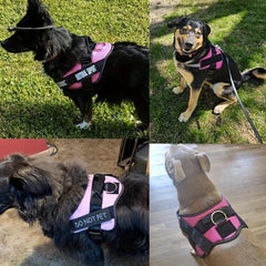 Adjustable Padded Dog Harness Reflective No Choke Pet Vest Leash Set