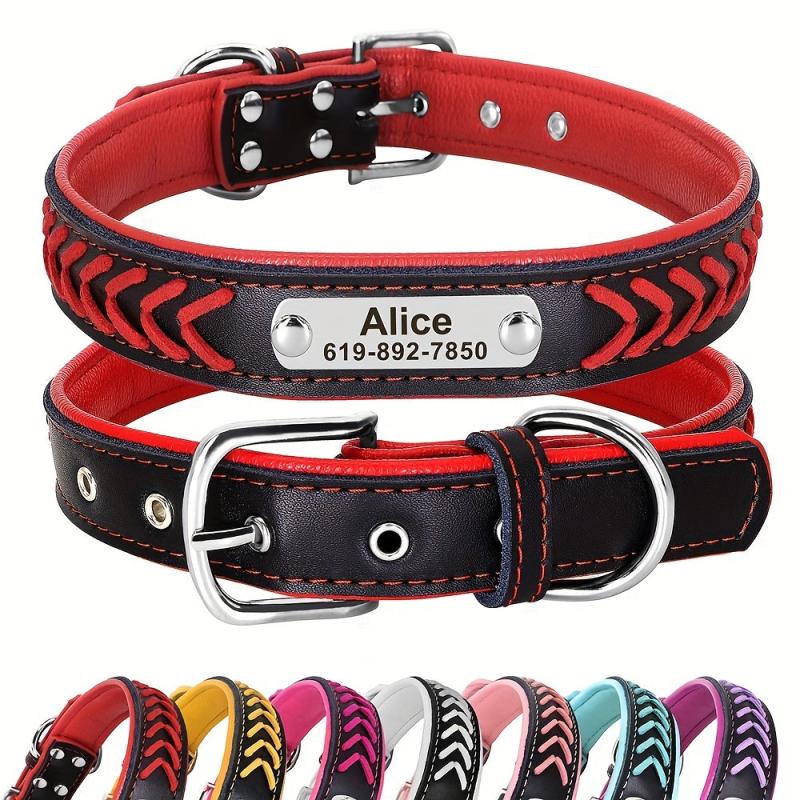 Personalized Leather Dog Collar with Engraved Nameplate