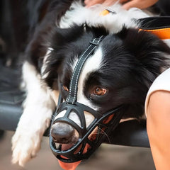 Dog Mouth Cover Anti Bite Stop Barking Chewing Comfortable Breathable