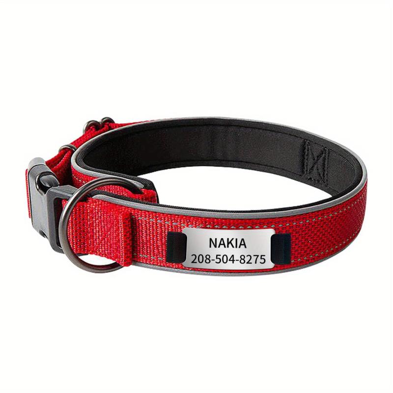 Personalized Nylon Dog Collar with Engraved Nameplate