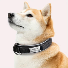 Personalized Nylon Dog Collar with Engraved Nameplate