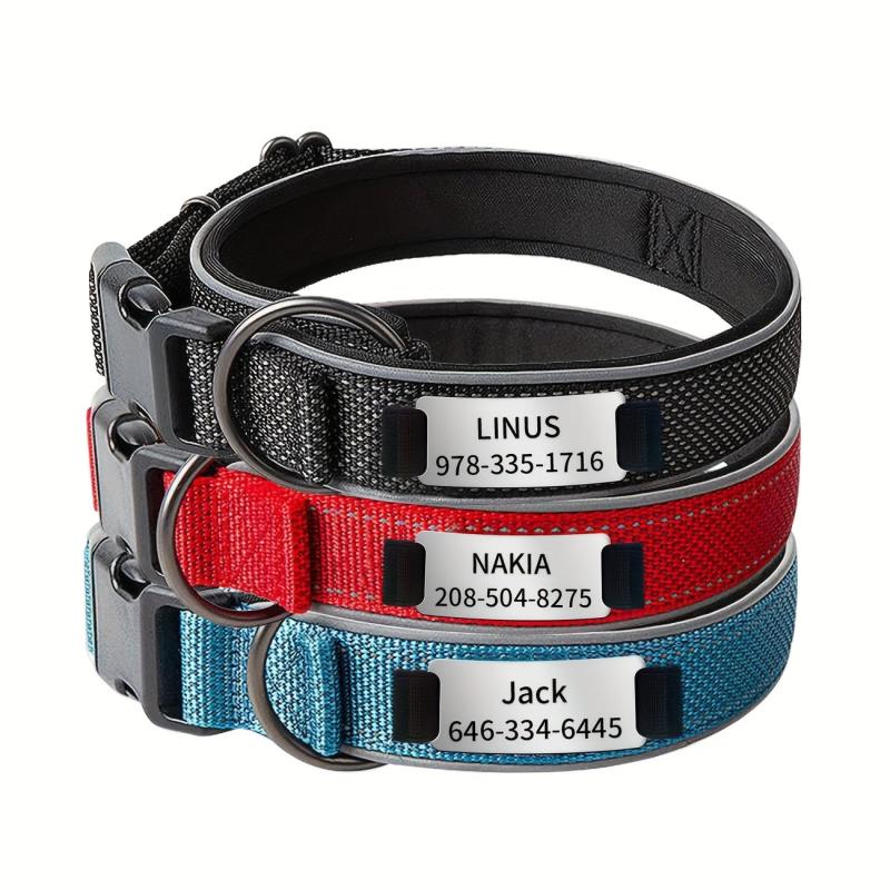 Personalized Nylon Dog Collar with Engraved Nameplate