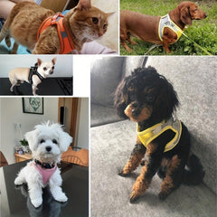 Reflective Nylon Pet Dog Harness No Pull Adjustable Outdoor Walking Collar