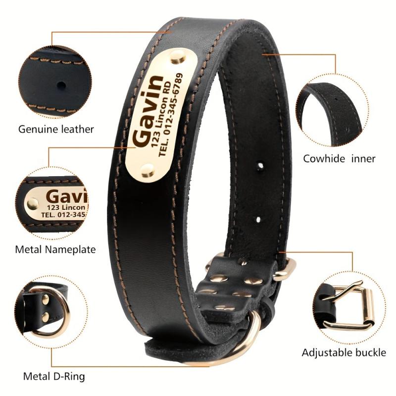 Personalized Leather Dog Collar with Engraved Nameplate