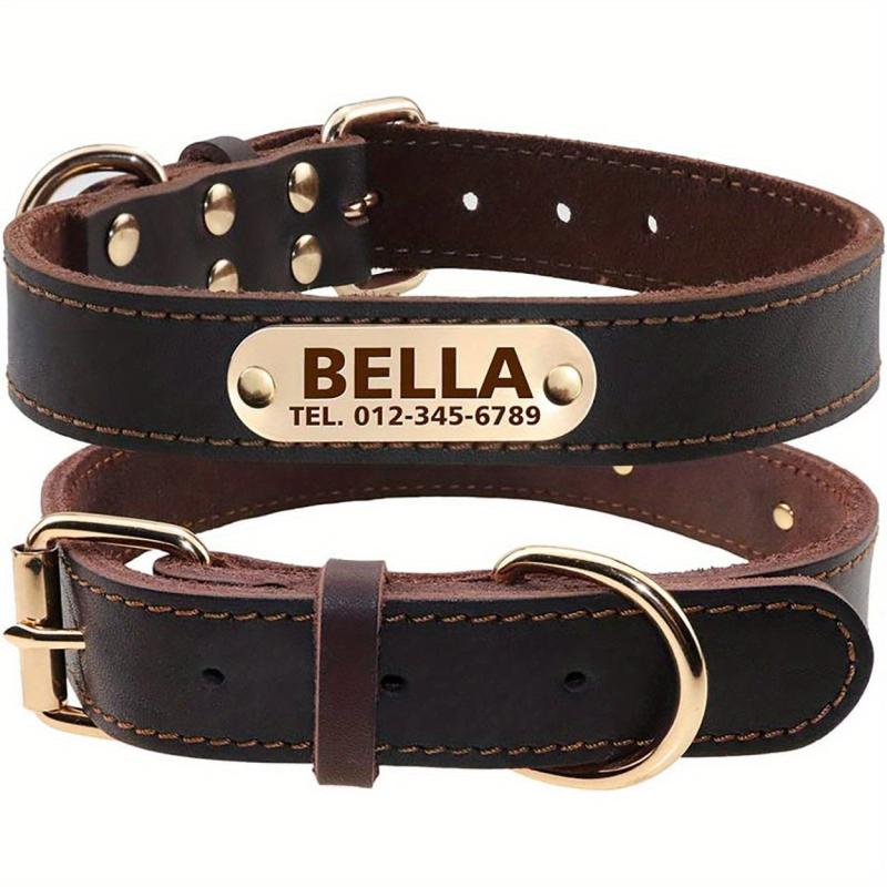 Personalized Leather Dog Collar with Engraved Nameplate