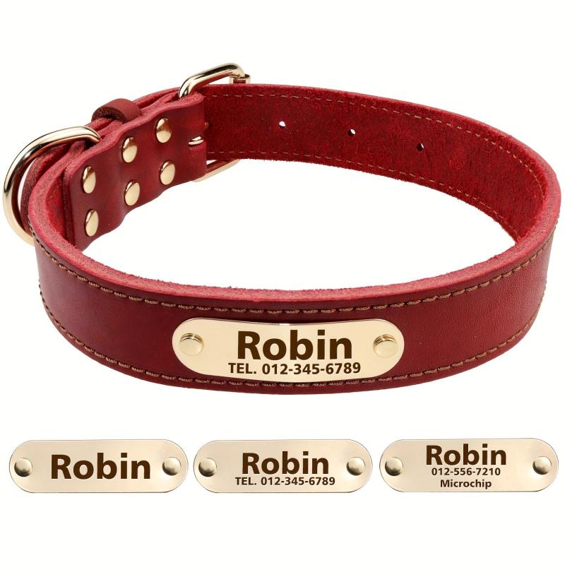 Personalized Leather Dog Collar with Engraved Nameplate