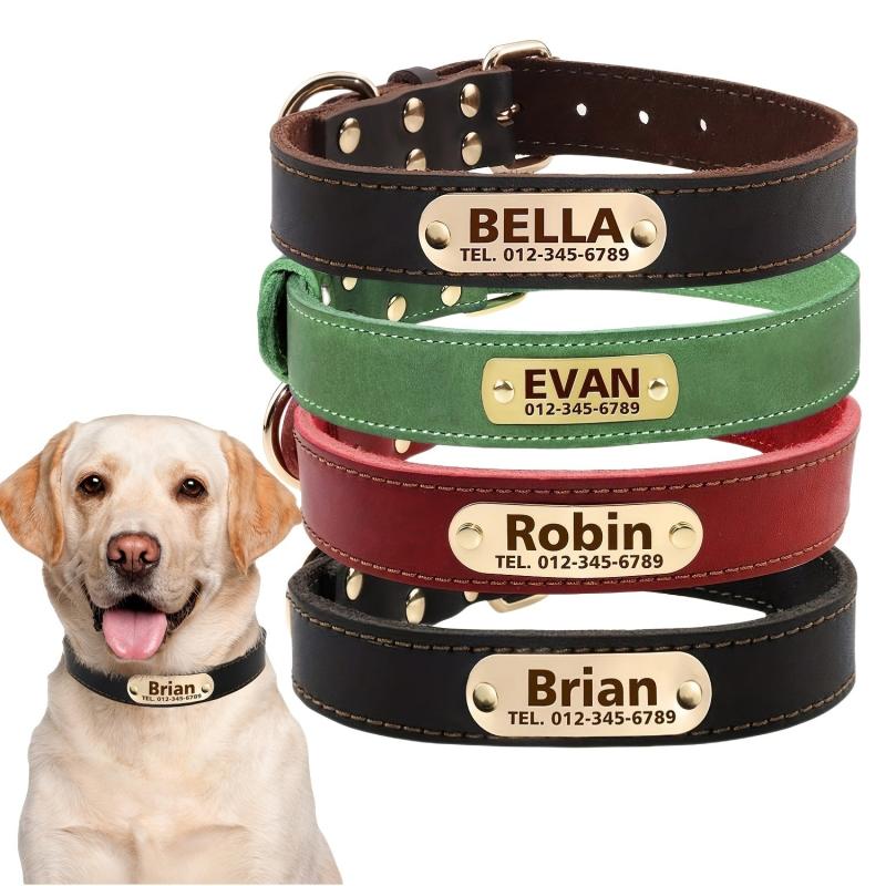 Personalized Leather Dog Collar with Engraved Nameplate