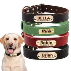 Personalized Leather Dog Collar with Engraved Nameplate