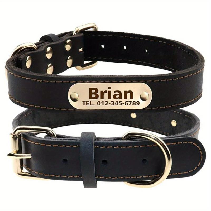 Personalized Leather Dog Collar with Engraved Nameplate