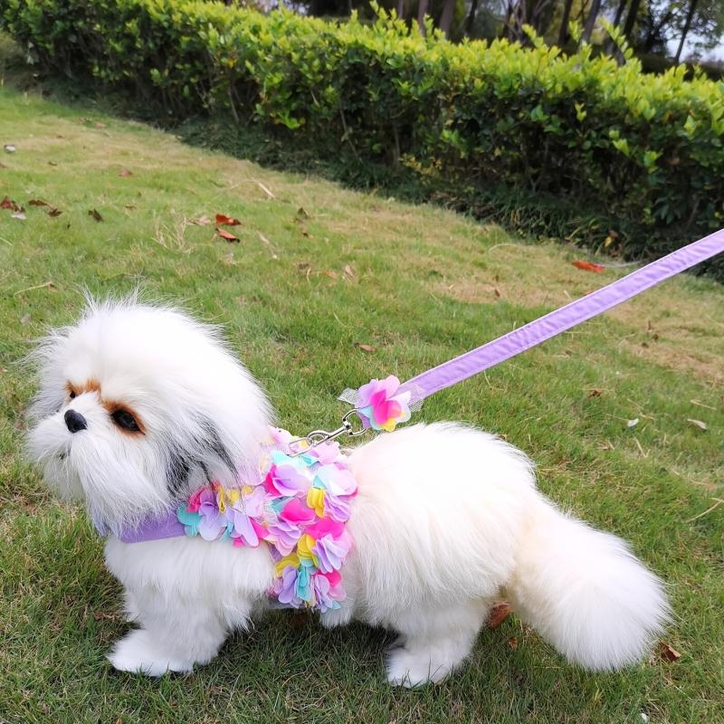 Floral Lace Pet Harness and Leash Set for Small Dogs and Cats
