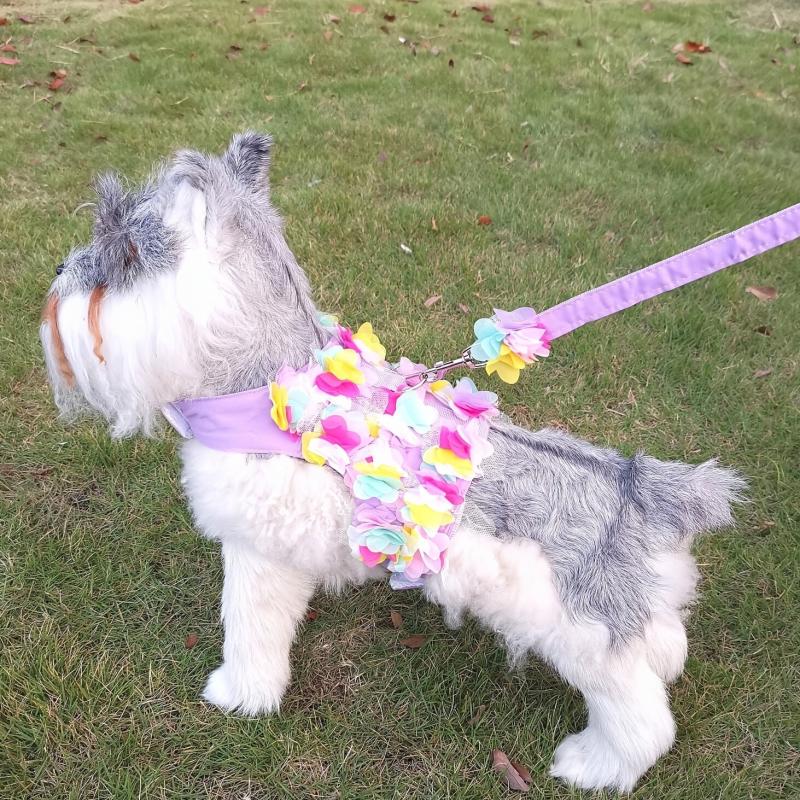 Floral Lace Pet Harness and Leash Set for Small Dogs and Cats