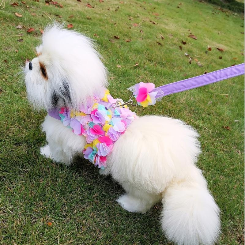 Floral Lace Pet Harness and Leash Set for Small Dogs and Cats