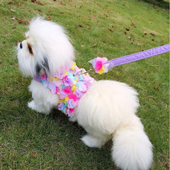 Floral Lace Pet Harness and Leash Set for Small Dogs and Cats