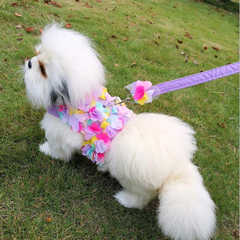 Floral Lace Pet Harness and Leash Set for Small Dogs and Cats