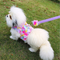 Floral Lace Pet Harness and Leash Set for Small Dogs and Cats