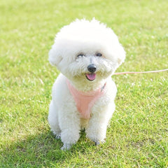 Reflective Dog Harness with Leash Set - Velvet Warm Chest Harness
