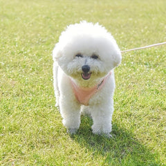 Reflective Dog Harness with Leash Set - Velvet Warm Chest Harness