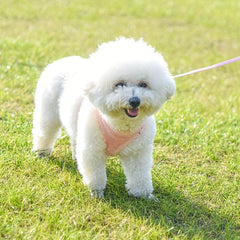Reflective Dog Harness with Leash Set - Velvet Warm Chest Harness