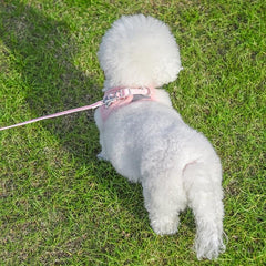 Reflective Dog Harness with Leash Set - Velvet Warm Chest Harness